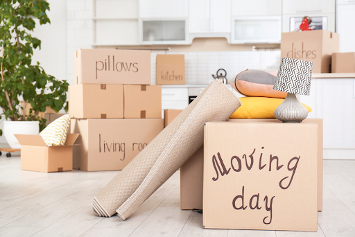 Everything You Need To Know About Moving Out Of State