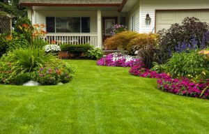 <strong>5 Beautiful Landscape Ideas for Your Yard</strong>