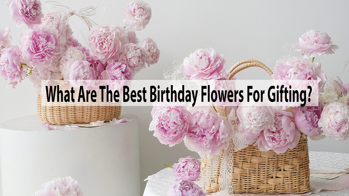 What Are The Best Birthday Flowers For Gifting?
