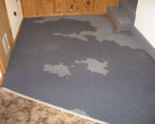 Carpets be cleaned