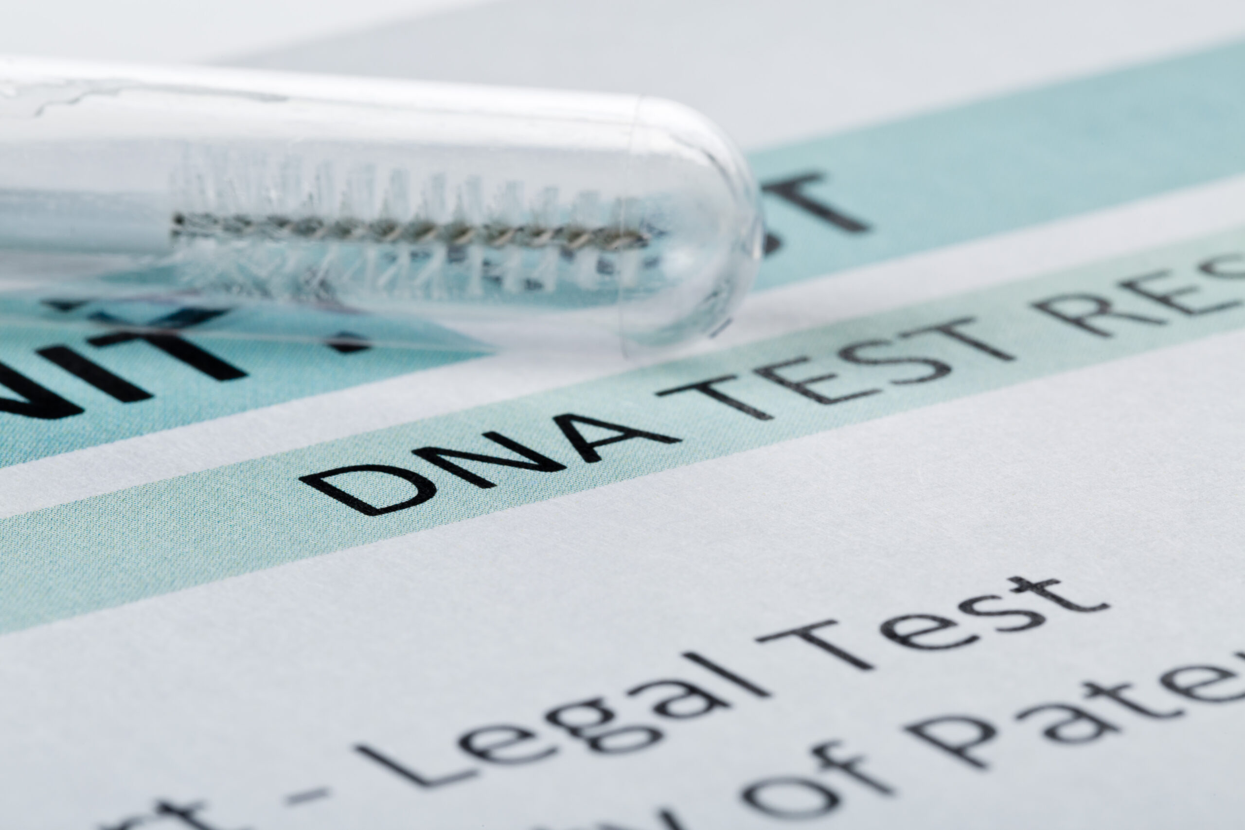 <strong>How to Read Your Paternity DNA Test Results</strong>