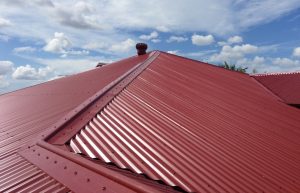 What types of roofs can benefit from professional cleaning services?