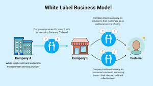 The Advantages of Partnering With a White Label Digital Marketing Provider