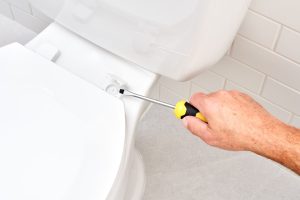 How to Remove a Toilet Seat