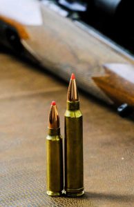 300 Savage Ammo in Stock: Top Choice for Reliable Rifle Performance