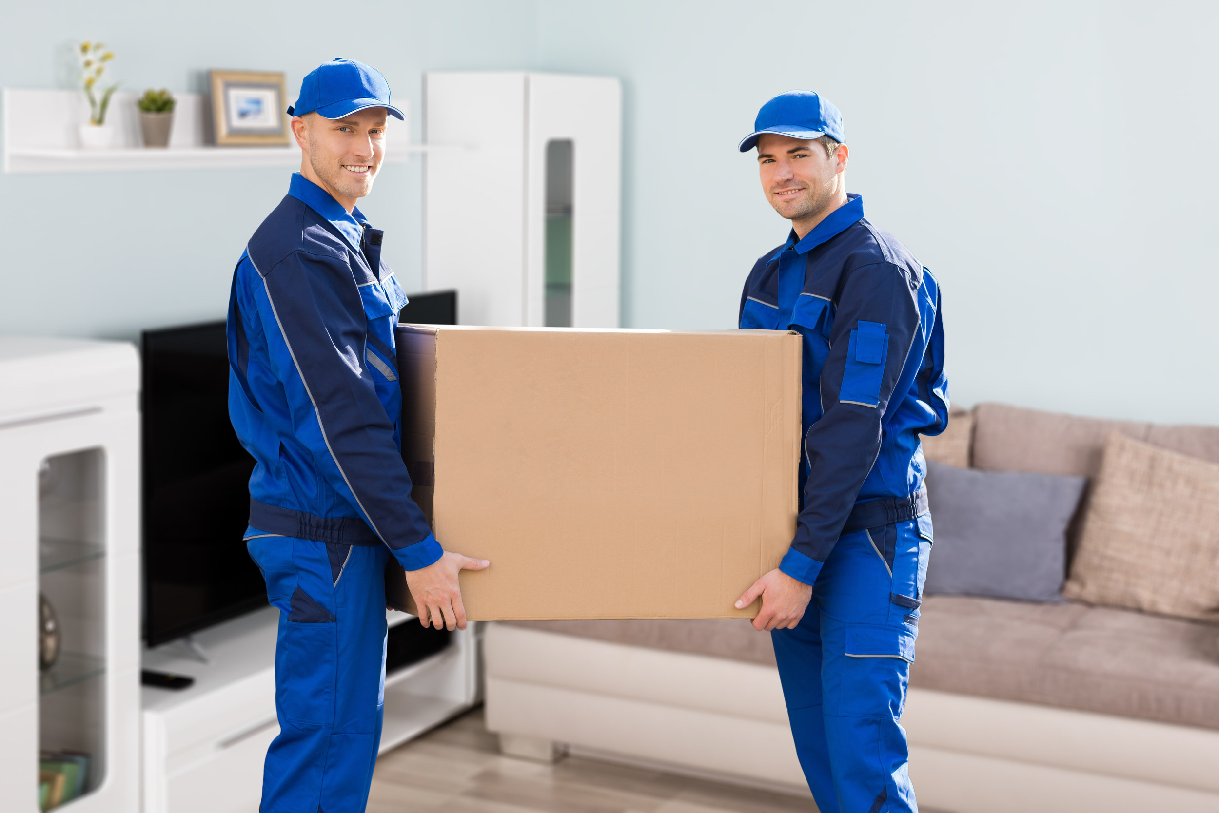 Smooth Moves Artistry of Professional Movers in Kingston