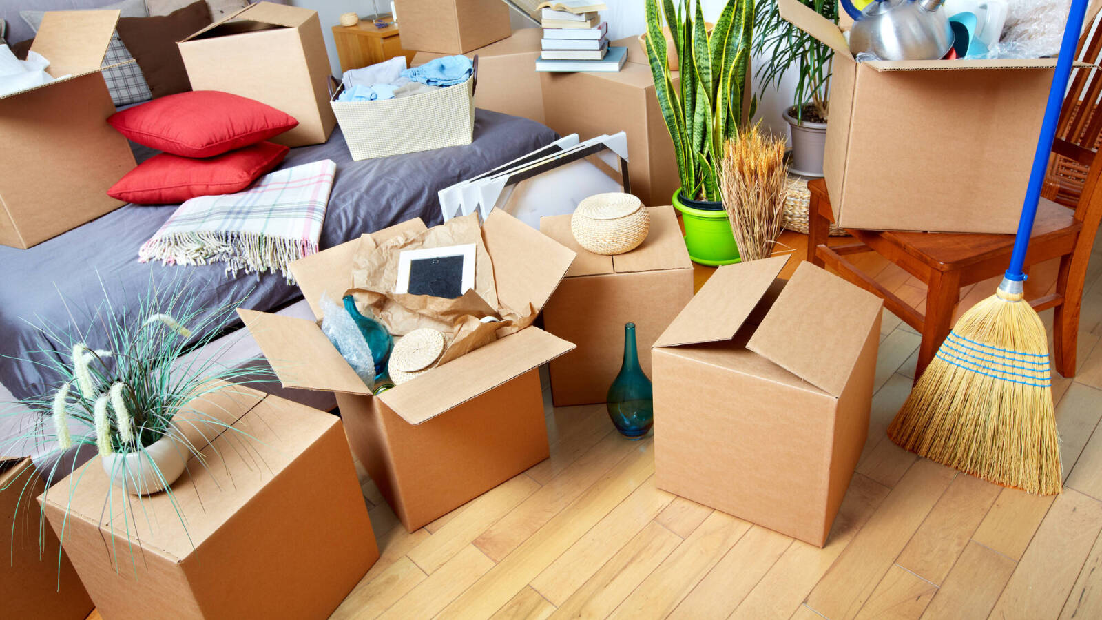 Streamlining Your Move in Richmond Opening the Mysteries of House Removals