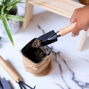 Mini Gardening Tools: The Secret to Big Green Dreams in Small Spaces