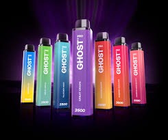 How to Choose Between Vudu and Ghost Pro 3500: The Detailed Guide